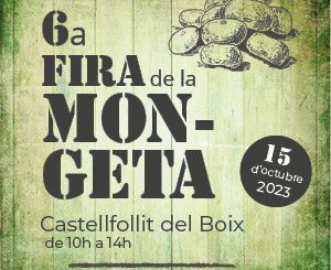 Fira de la mongeta de Castellfollit