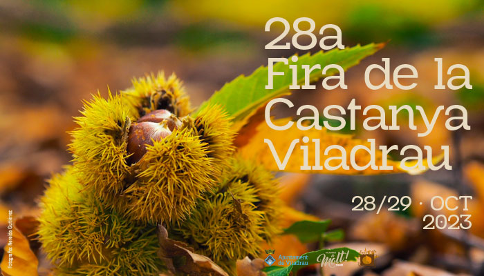 Fira de la castanya de Viladrau