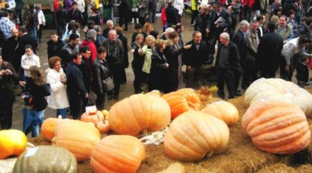 Fira d’Ous d’Euga i el Mercat del Pagès