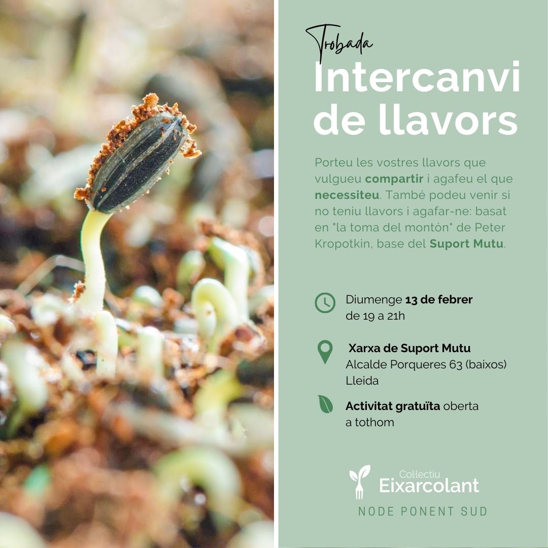 Intercanvi llavors